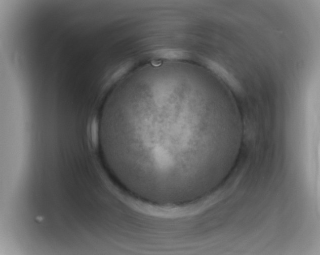 X0000114130014200910081254