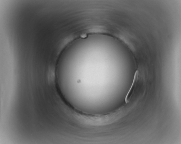 X0000114130015200910081254