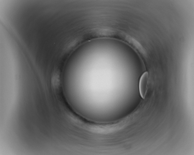 X0000114130017200910081254