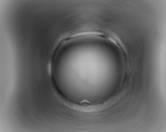 X0000114130019200910081254