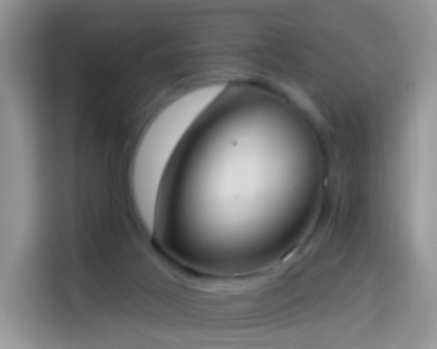X0000114130021200910081254