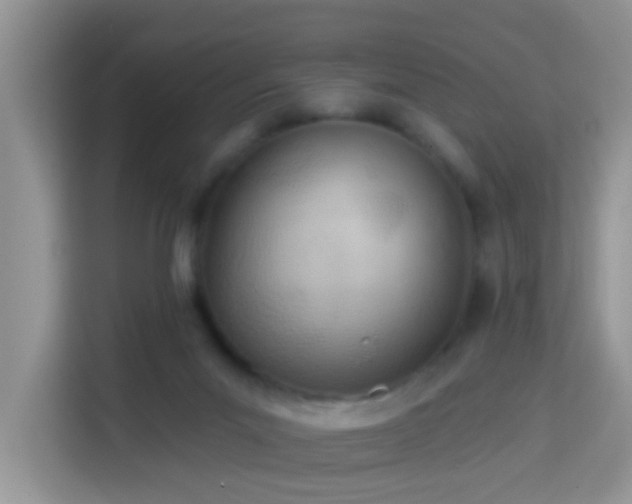 X0000114130023200910081254