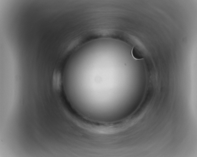 X0000114130024200910081254