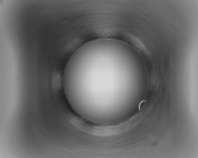 X0000114130025200910081254