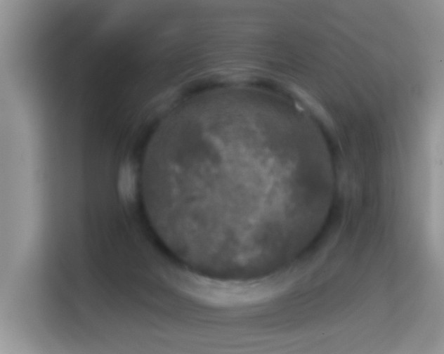 X0000114130026200910081254