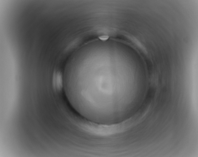 X0000114130027200910081254