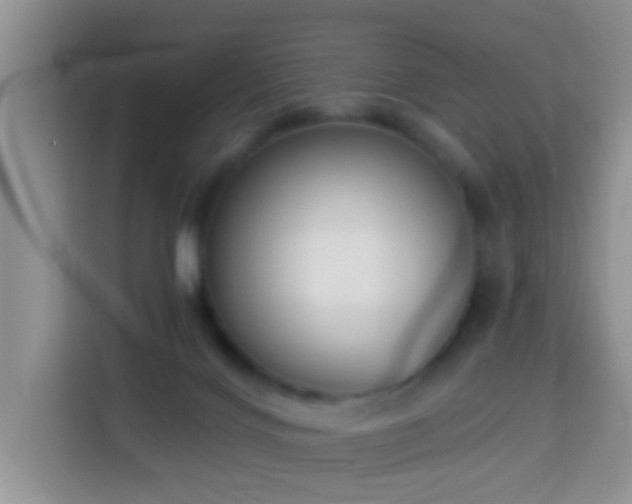 X0000114130028200910081254