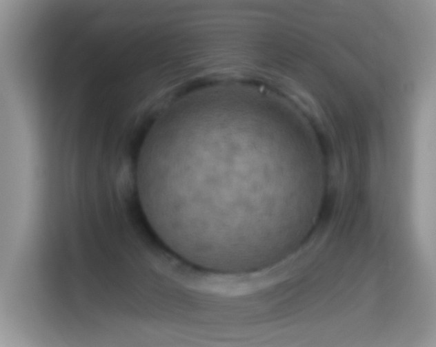 X0000114130029200910081254