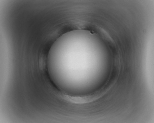 X0000114130030200910081253