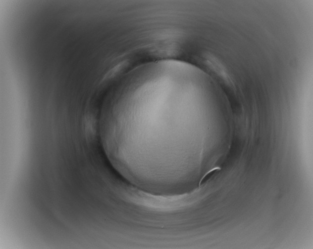 X0000114130035200910081253