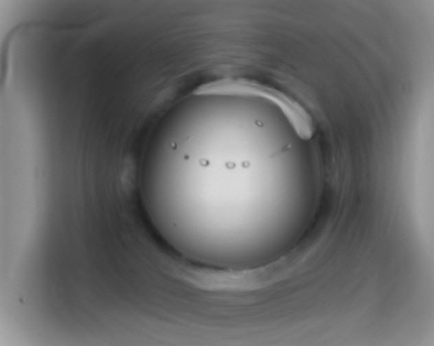 X0000114130036200910081253