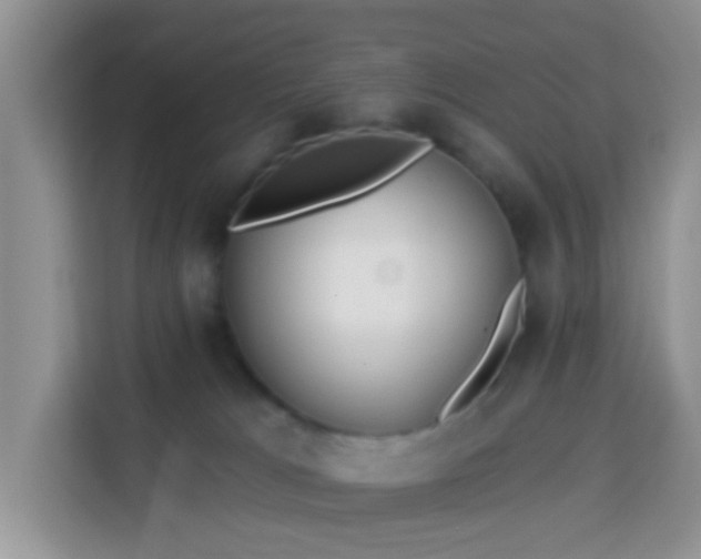 X0000114130037200910081253