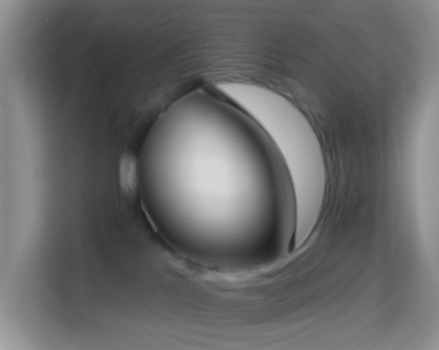 X0000114130041200910081253