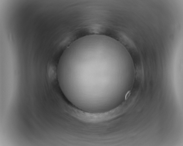 X0000114130043200910081253