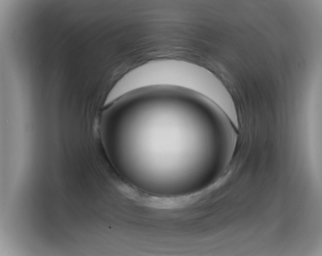 X0000114130045200910081253
