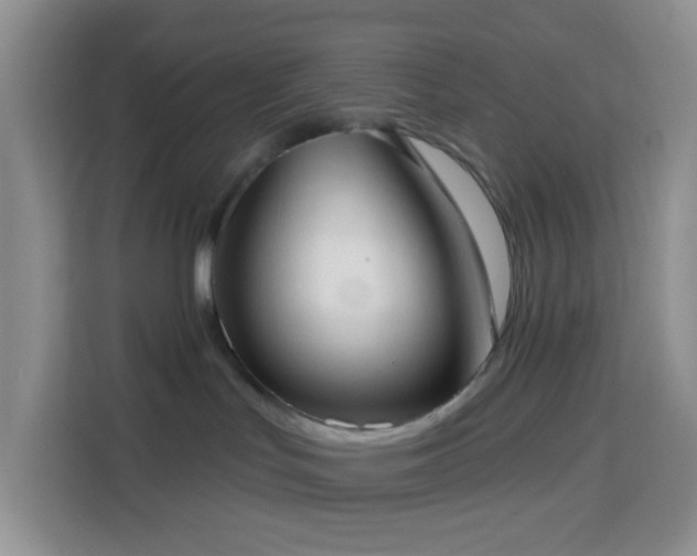 X0000114130047200910081253
