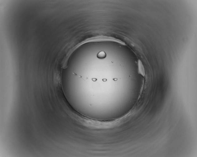 X0000114130048200910081253
