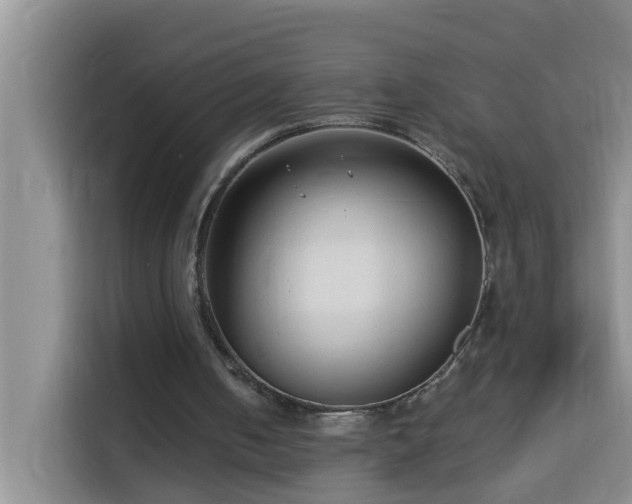 X0000114130050200910081253