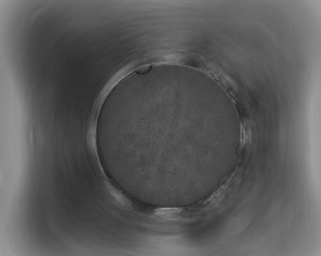X0000114130051200910081253