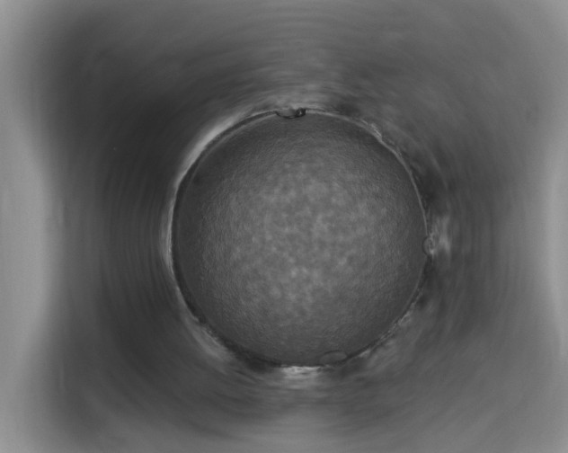 X0000114130052200910081253