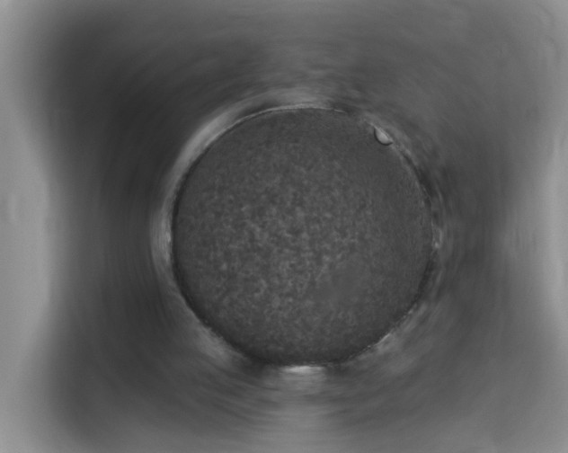 X0000114130053200910081253