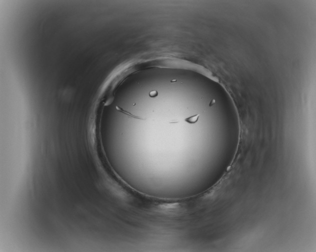 X0000114130054200910081253