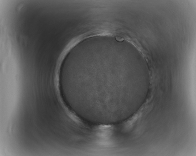X0000114130055200910081253