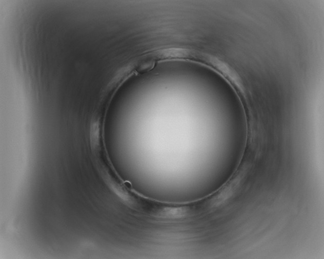 X0000114130057200910081253
