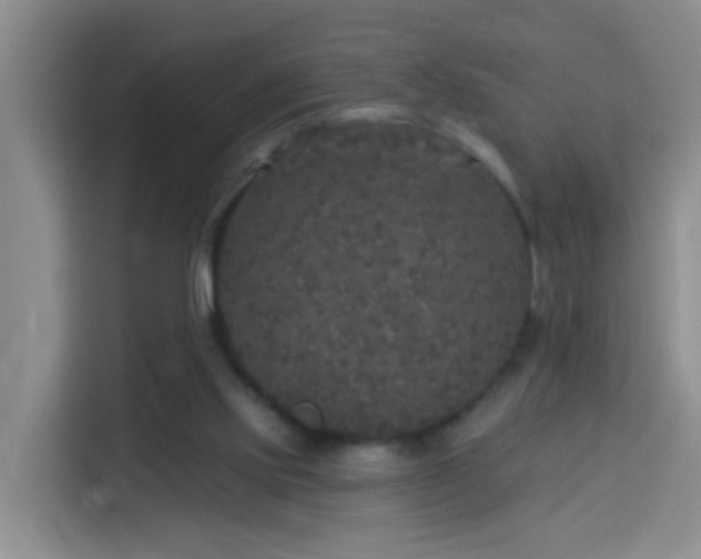 X0000114130061200910081253