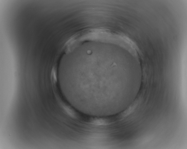 X0000114130062200910081253