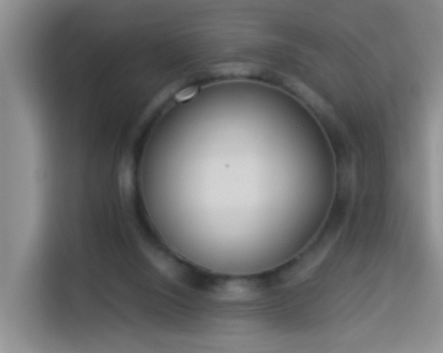 X0000114130064200910081253