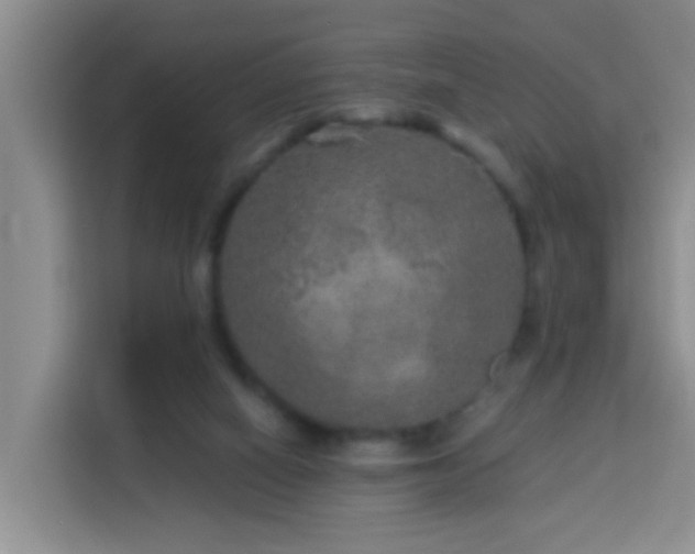 X0000114130066200910081253