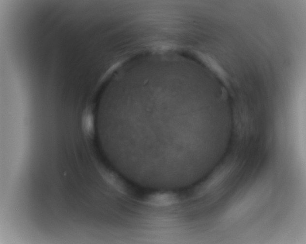 X0000114130067200910081253