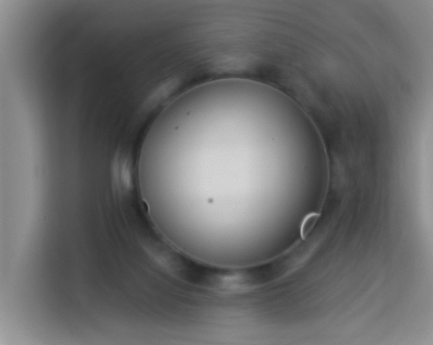 X0000114130068200910081253
