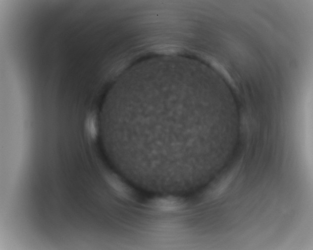 X0000114130069200910081253
