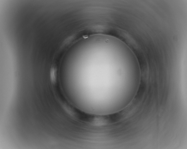 X0000114130070200910081253