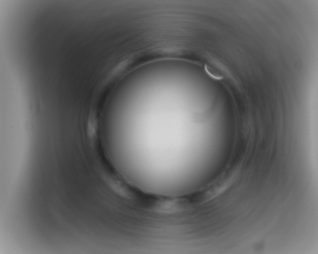 X0000114130072200910081253