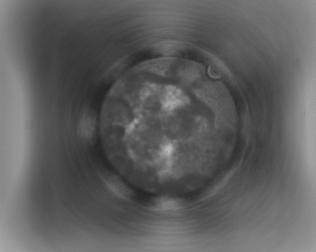 X0000114130073200910081253