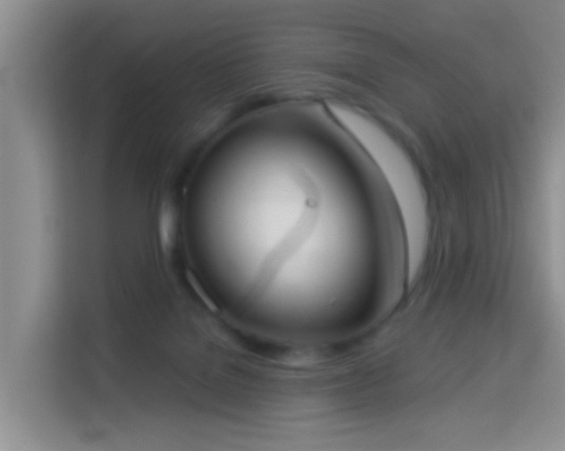 X0000114130076200910081253