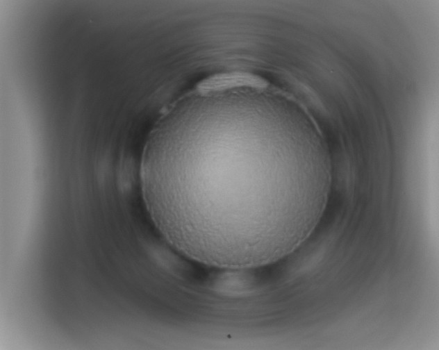 X0000114130077200910081253