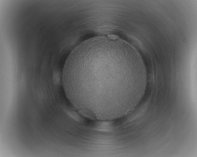 X0000114130081200910081253