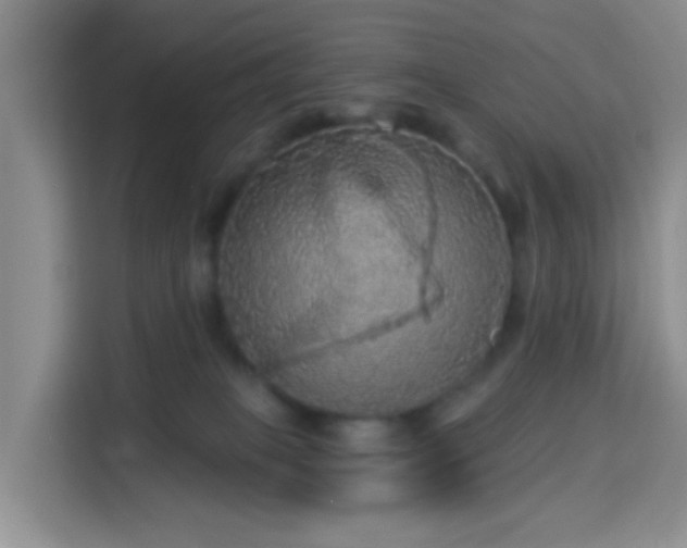 X0000114130085200910081253
