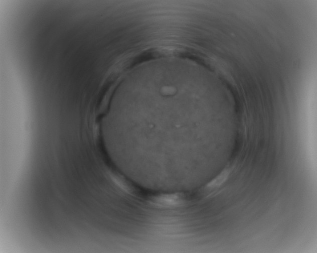 X0000114130086200910081253