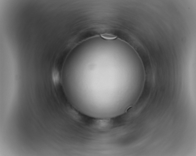X0000114130089200910081253