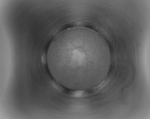 X0000114130090200910081253
