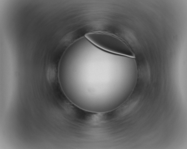 X0000114130092200910081253
