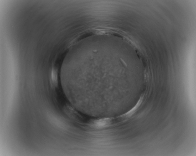 X0000114130094200910081253