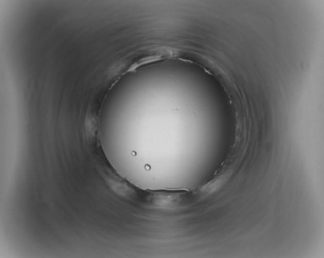 X0000114130096200910081253