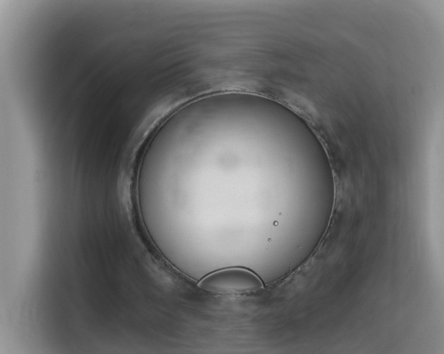 X0000114130098200910081253