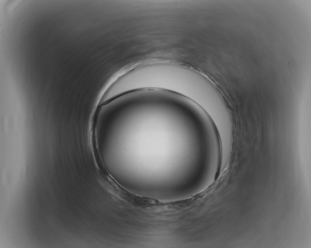 X0000114130100200910081253